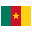 Flag of Camerún